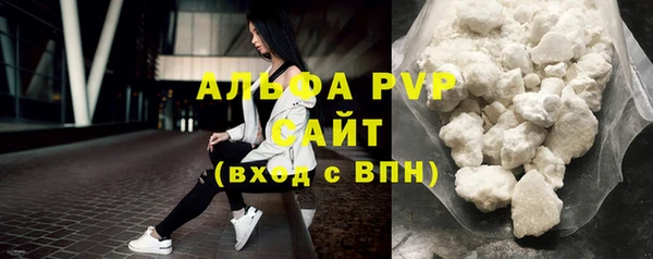 гашик Богданович