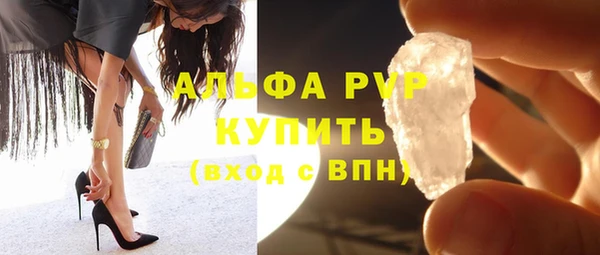 гашик Богданович