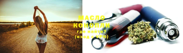 дживик Богородицк