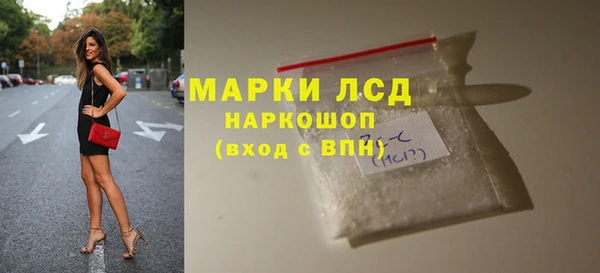 гашик Богданович