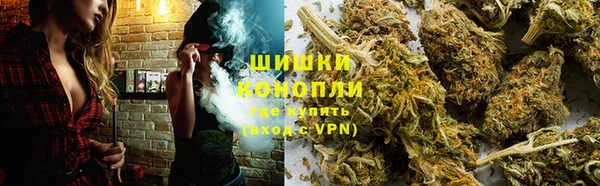 дживик Богородицк